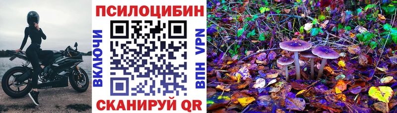 Псилоцибиновые грибы MAGIC MUSHROOMS  как найти наркотики  Каменск-Уральский 